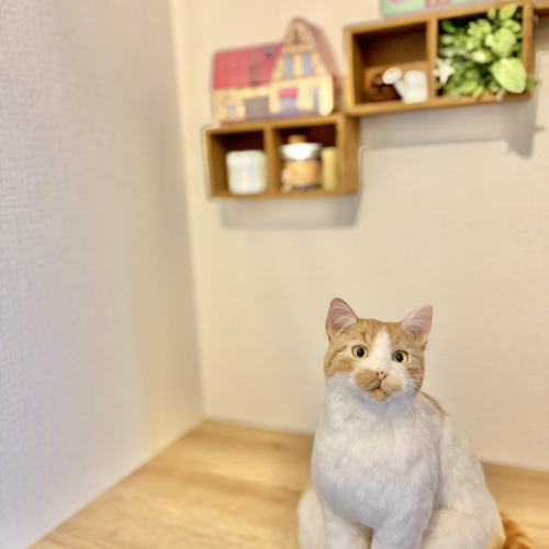 ＊羊毛フェルト＊うちの子オーダー オーダーメイド】羊毛フェルト うちの子オーダー 猫 羊毛