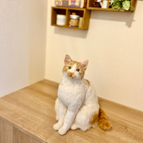 オーダーメイド】羊毛フェルト うちの子オーダー 猫 羊毛