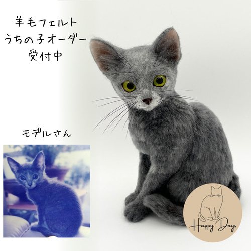 【りぃ】羊毛フェルトオーダー 🌺 きりのみりい スーパーリアル羊毛フェルト作家®️ (@miriikirino