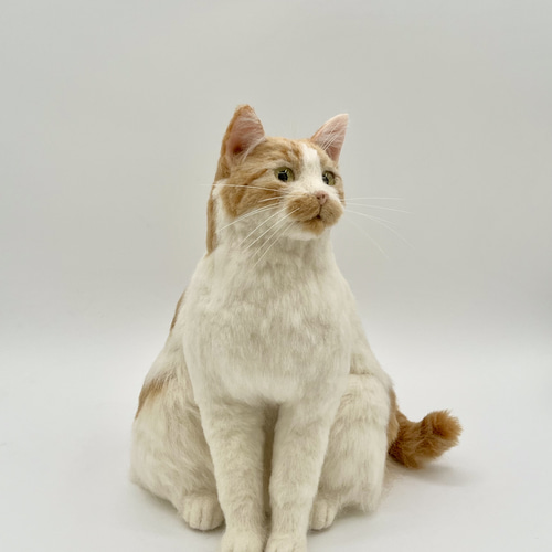 羊毛フェルト。猫。オーダーNo.80 羊毛フェルト猫オーダー》 #猫(ねこ)羊毛フェルト フレーム