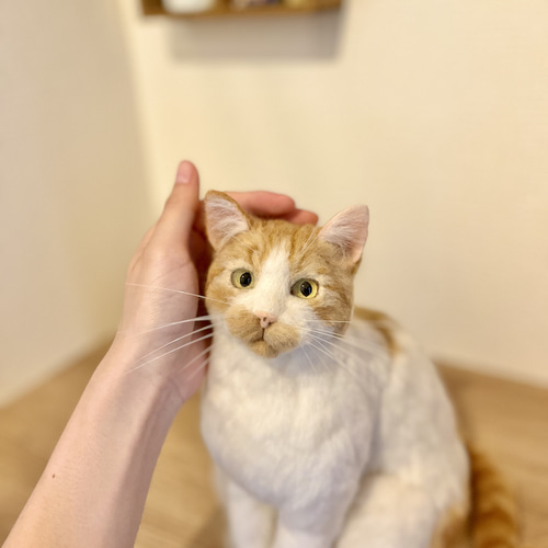 オーダーメイド】羊毛フェルト うちの子オーダー 猫 羊毛フェルト