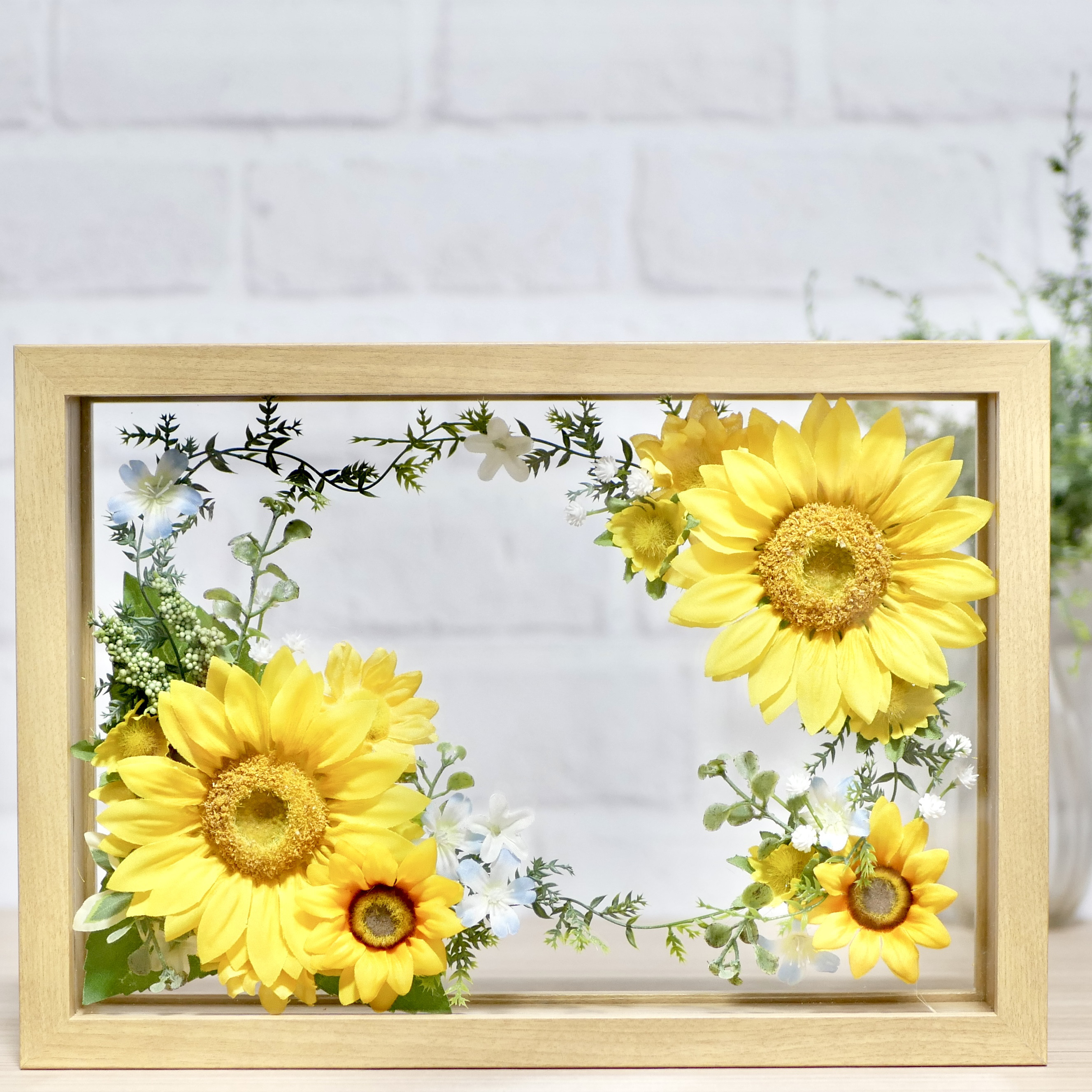 夏の優しいお庭