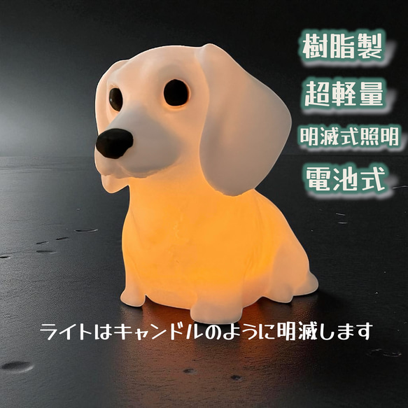 すぎ様 リクエスト 2点 まとめ商品 ラッキー様 リクエスト 2点 まとめ