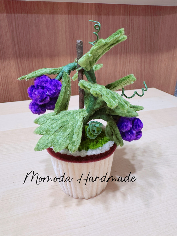 モールフラワー ぶどうの鉢植え 枯れない ハンドメイド 盆栽 Momoda