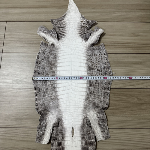 ワニ革 ポロサス クロコダイル アリゲーター 素材 スモール