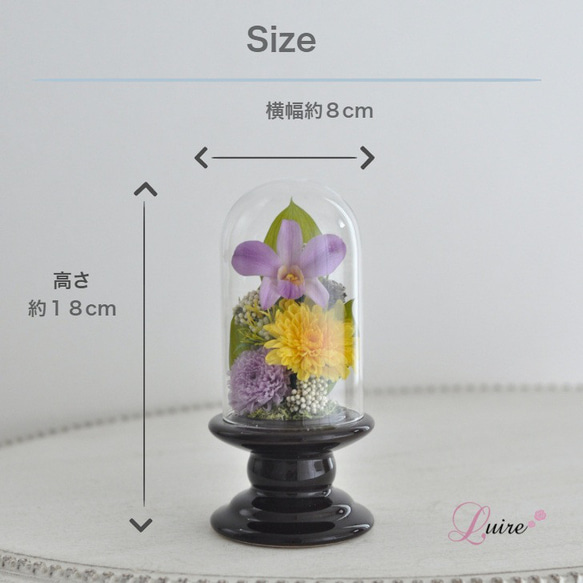 新色デンファレ【ガラスドーム仏花】ことね菊、グラデーションデンファレの美しい　仏花、お供え花 2枚目の画像