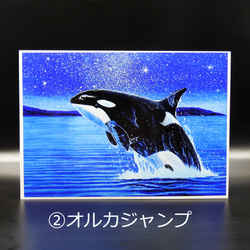 【7個限定】Creema限定 「A4アートプリント星空シリーズ選べる2点セット」/海/天の川/星/七夕2025 3枚目の画像