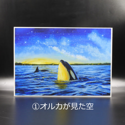 【7個限定】Creema限定 「A4アートプリント星空シリーズ選べる2点セット」/海/天の川/星/七夕2025 2枚目の画像