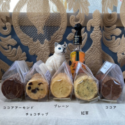  第2張的照片