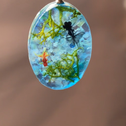 355f123d09b7376cf73b7724b13ff1