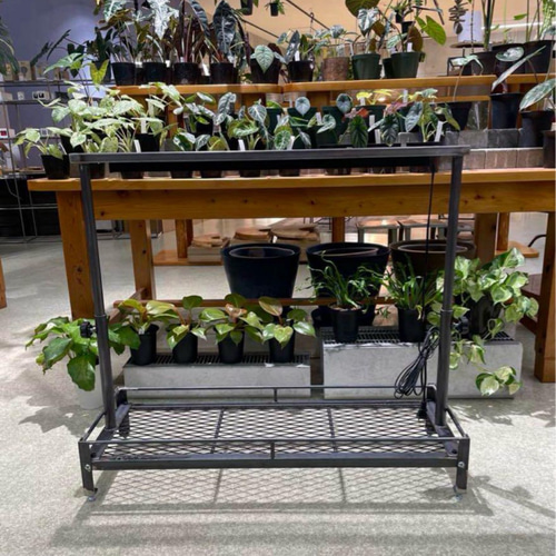 hrhr_555 アイアンシェルフ 1段 植物棚 hrhr_555 アイアンシェルフ 1段 植物棚 hrhr_555 アイアン