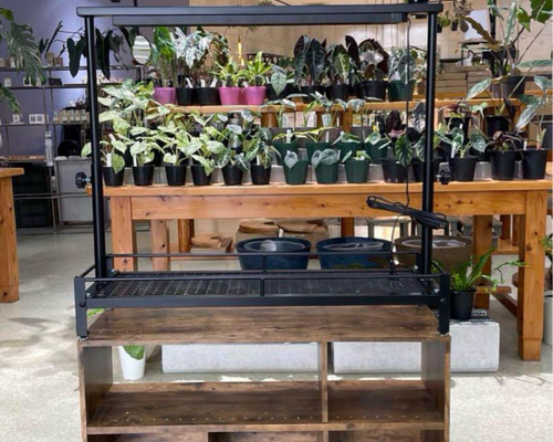 hrhr_555 アイアンシェルフ 1段 植物棚 楽天市場】水受けトレー付1段植物棚 植物棚 アガベ 塊根植物