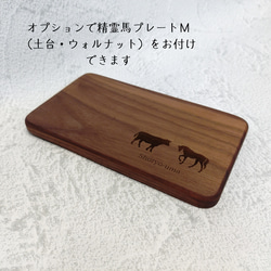  第13張的照片