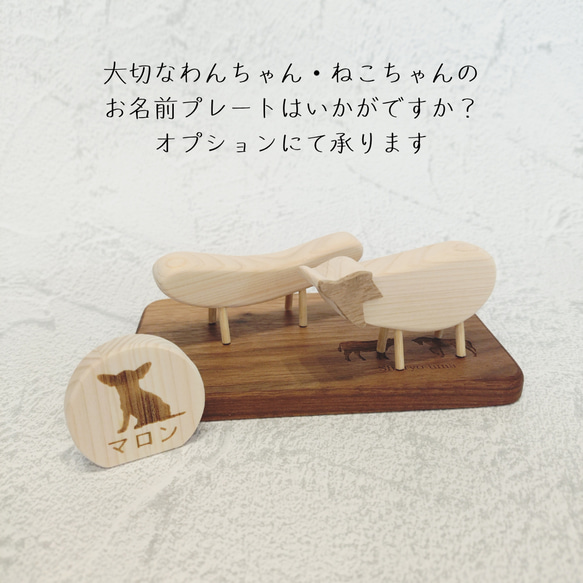  第15張的照片