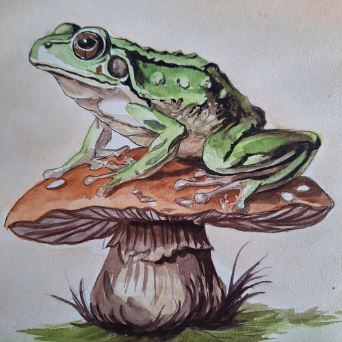 【残り1点、早い者勝ち】カエルの水彩画 木製フレーム付き 水彩画 カエルとキノコ 絵画 makochin 通販 19446420｜Creema(クリーマ