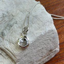 ムオニオナルスタ隕石（メテオライト）シルバーペンダント◇Silver Pendant with chain 14枚目の画像
