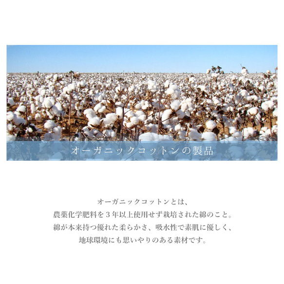  第17張的照片