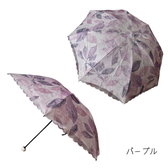  第7張的照片