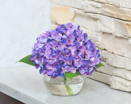 紫陽花・青紫に色付く紫陽花・まるで本物の様な紫色の紫陽花