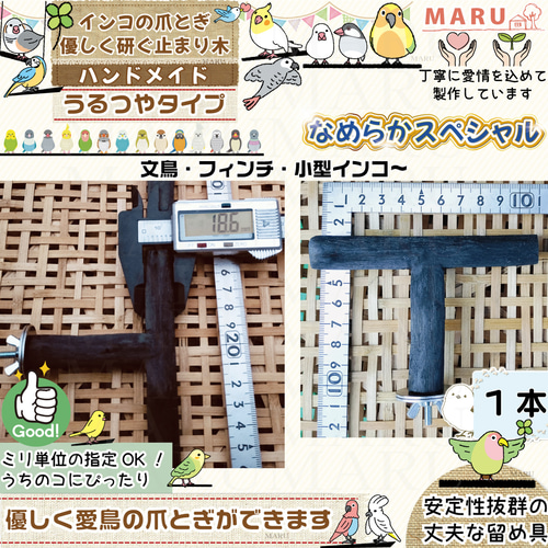 なめらかスペシャル極み うるつや【T字パーチ】 太さ約1.5cm～約2cm 1