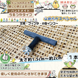 なめらかスペシャル極み うるつや【T字パーチ】 太さ約1.5cm～約2cm 1