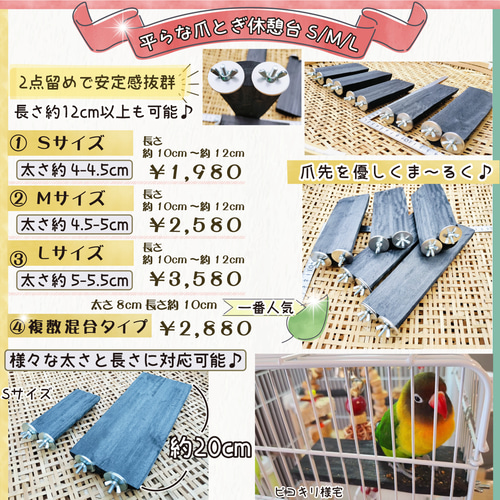 高級かためタイプ 【T字パーチ】 太さ約2.5cm～約3cm 横約15cm 1本