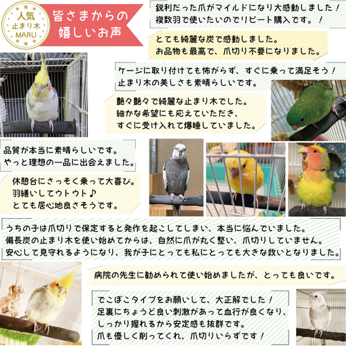 高級かためタイプ 【T字パーチ】 太さ約2.5cm～約3cm 横約15cm 1本
