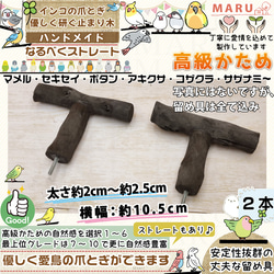 高級かためタイプ 【T字パーチ】 太さ約2cm～約2.5cm 横約10.5cm 2本