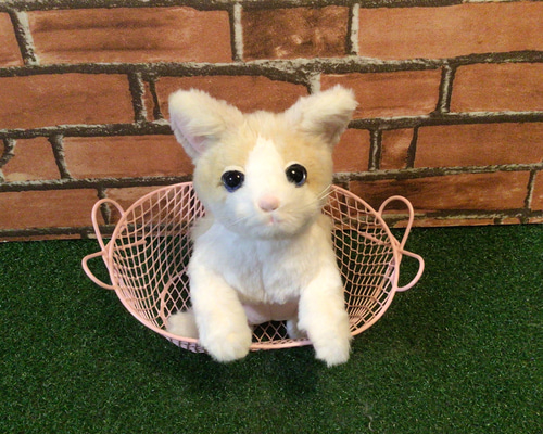 m様愛猫ちゃんオーダーメイド品(MIX) 縫いぐるみ 18センチ ぬいぐるみ
