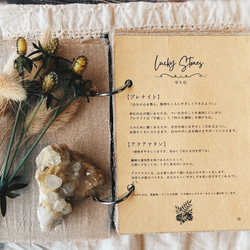 The Guardian Grimoire｜守護の書（あなたを映す個性診断ブック） 9枚目の画像