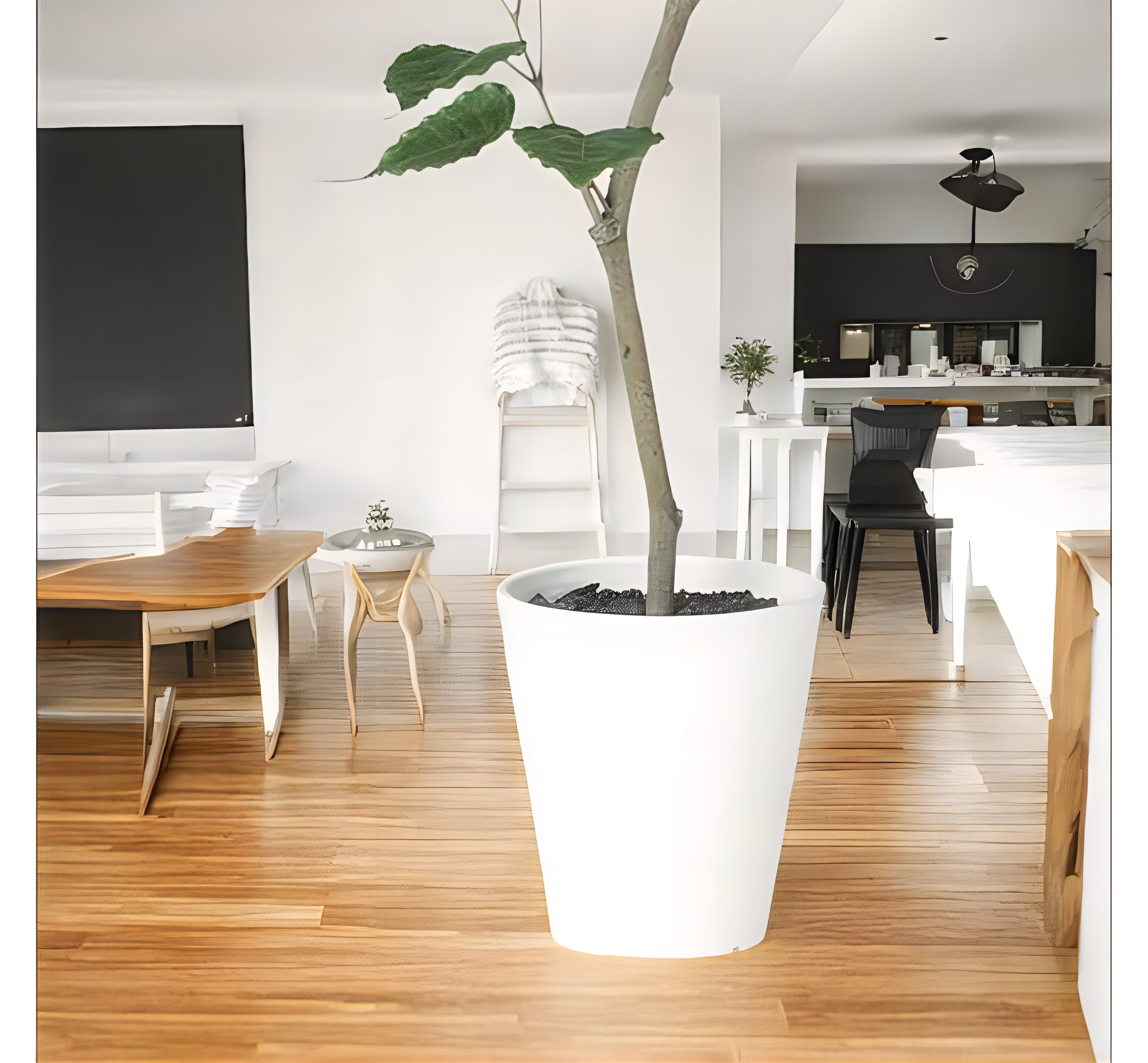 光触媒　人工観葉植物　ウォールグリーン　フェイクグリーン　インドボダイジュFST@@