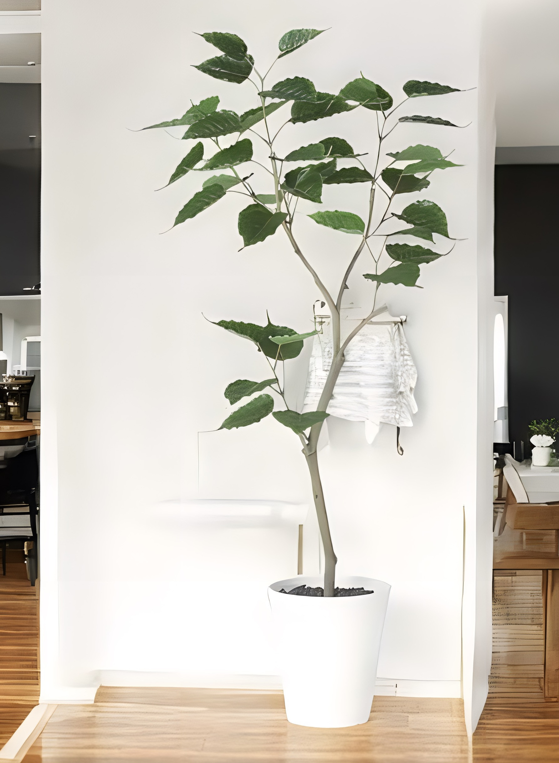 光触媒　人工観葉植物　ウォールグリーン　フェイクグリーン　インドボダイジュFST@@