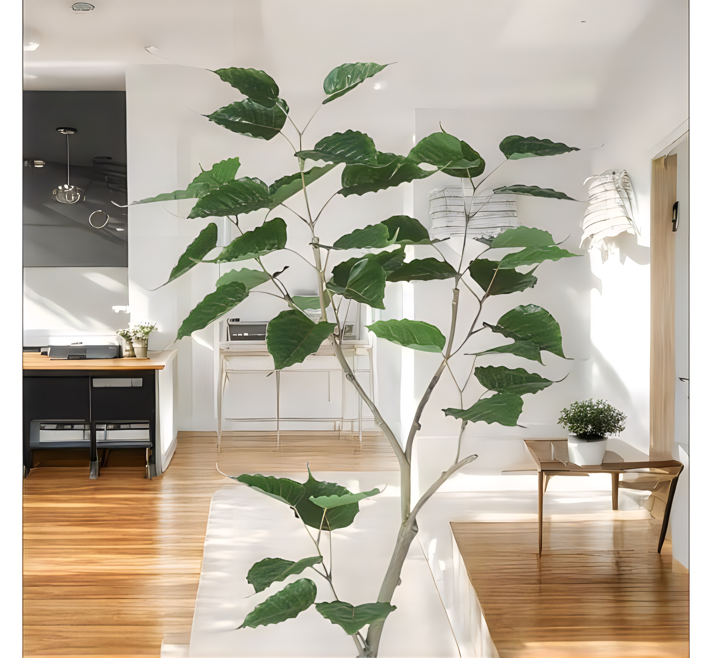 光触媒　人工観葉植物　ウォールグリーン　フェイクグリーン　インドボダイジュFST@@