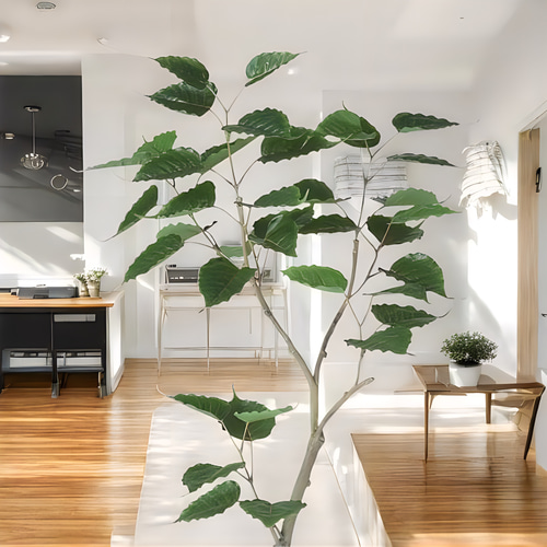 光触媒　人工観葉植物　ウォールグリーン　フェイクグリーン　インドボダイジュFST 光触媒 人工観葉植物 ウォールグリーン フェイクグリーン インド