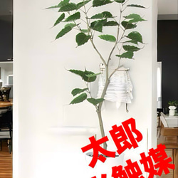 光触媒 人工観葉植物 ウォールグリーン フェイク フラワー