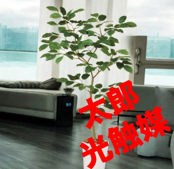 光触媒 人工観葉植物 ウォールグリーン フェイクグリーン
