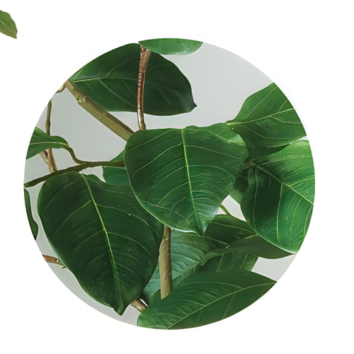 光触媒 人工観葉植物 ウォールグリーン フェイクグリーン ベンガル