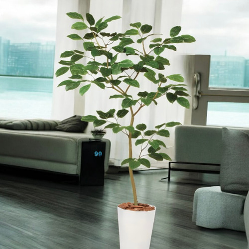 光触媒 人工観葉植物 ウォールグリーン フェイクグリーン ベンガルボ