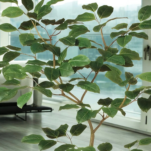 光触媒 人工観葉植物 ウォールグリーン フェイクグリーン ベンガルボ