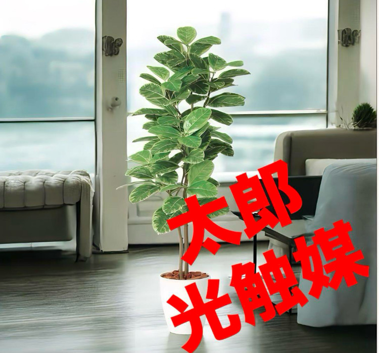 光触媒　人工観葉植物　ウォールグリーン　フェイクグリーン　アルテシマ株立FST