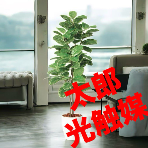 光触媒　人工観葉植物　ウォールグリーン　フェイクグリーン　アルテシマ株立FST 光触媒 人工観葉植物 ウォールグリーン フェイクグリーン アルテシマ株