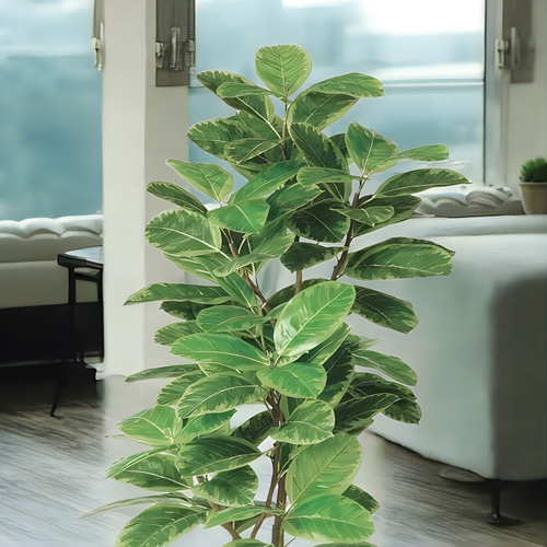 光触媒　人工観葉植物　ウォールグリーン　フェイクグリーン　アルテシマ株立FST 光触媒 人工観葉植物 ウォールグリーン フェイクグリーン アルテシマ株