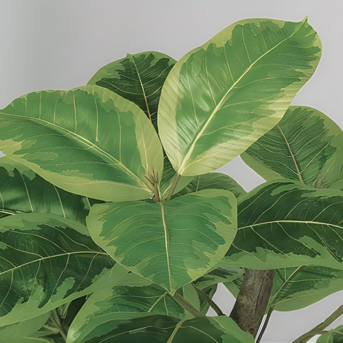 光触媒　人工観葉植物　ウォールグリーン　フェイクグリーン　アルテシマ株立FST 光触媒 人工観葉植物 ウォールグリーン フェイクグリーン