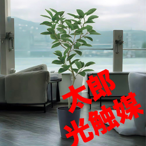 光触媒　人工観葉植物　ウォールグリーン　フェイクグリーン　デコラゴム150 光触媒 人工観葉植物 ウォールグリーン フェイクグリーン デコラゴム