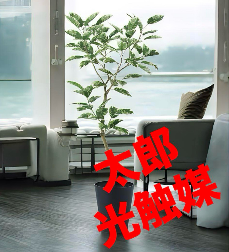 光触媒　人工観葉植物　ウォールグリーン　フェイクグリーン　デコラトリカラーFST