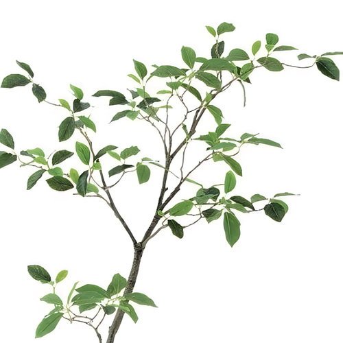 光触媒　人工観葉植物　ウォールグリーン　フェイクグリーン　ガジュマル120FST 光触媒 人工観葉植物 ウォールグリーン フェイクグリーン ガジュマル