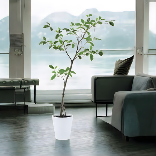 光触媒 人工観葉植物 ウォールグリーン フェイクグリーン ガジュマル120FST