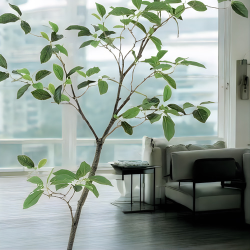 光触媒　人工観葉植物　ウォールグリーン　フェイクグリーン　ガジュマル120FST 光触媒 人工観葉植物 ウォールグリーン フェイクグリーン ガジュマル