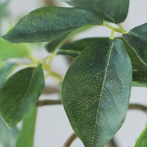 光触媒 人工観葉植物 ウォールグリーン フェイクグリーン ガジュマル