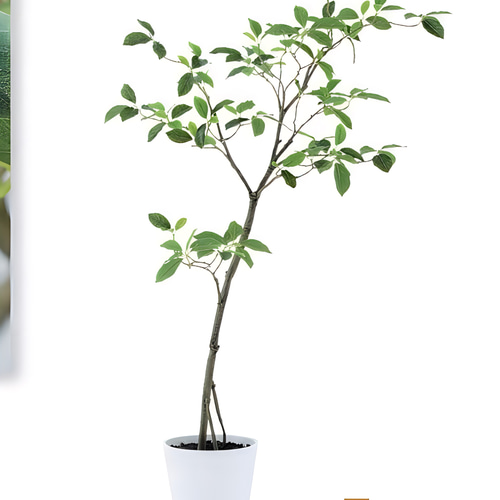 光触媒 人工観葉植物 ウォールグリーン フェイクグリーン ガジュマル120FST